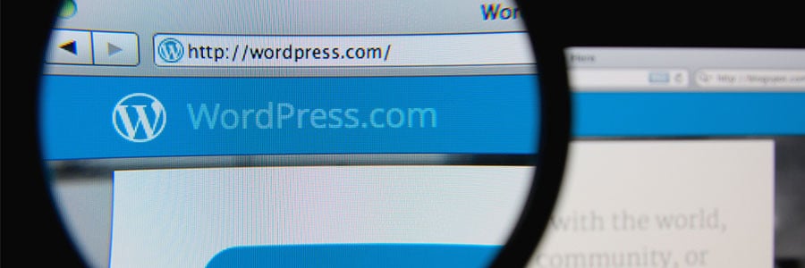 Vulnerabilities on WordPress websites