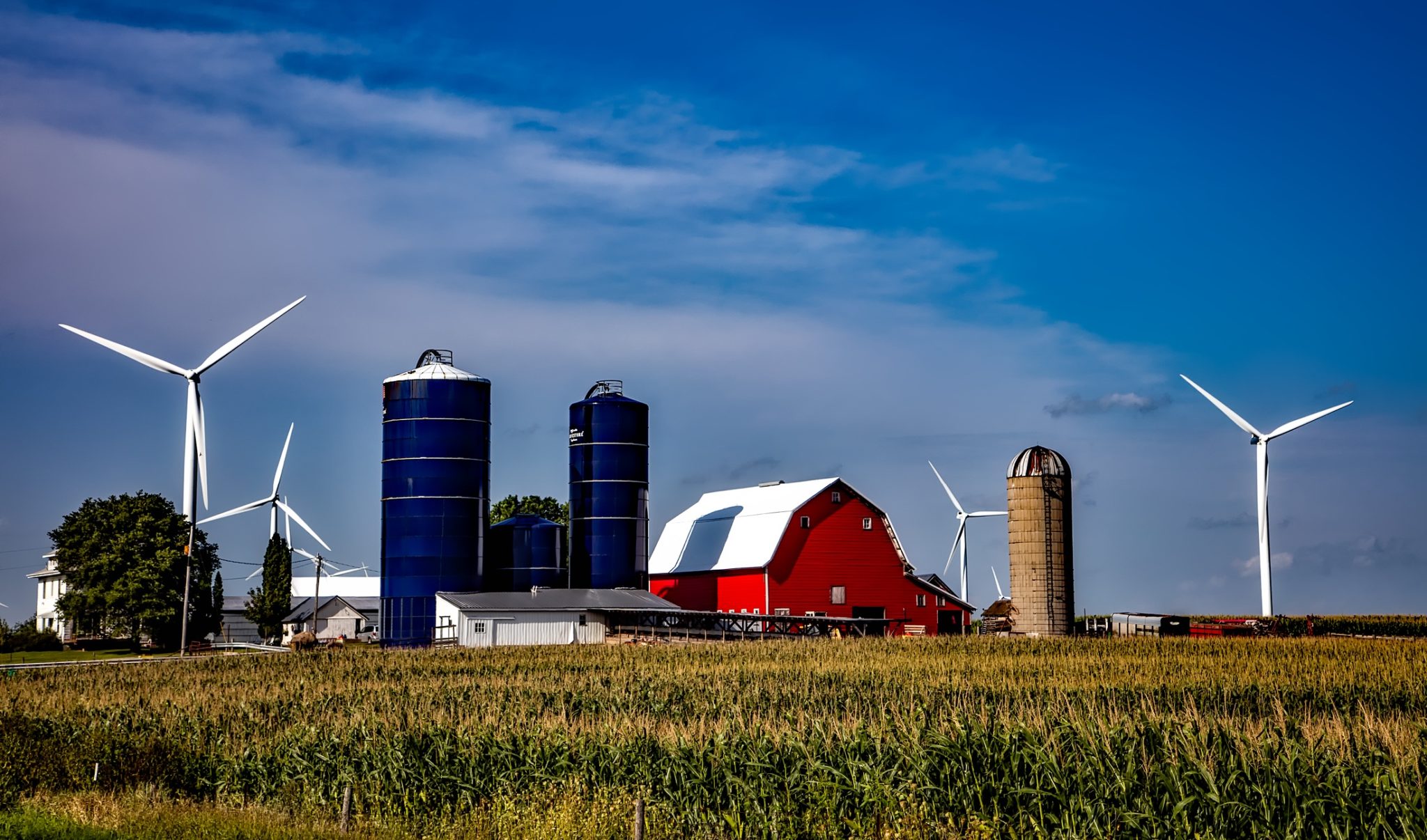 Iowa Farm Grain Silos